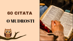citati o mudrosti