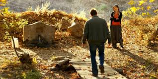 Ahlat agaci the wild pear tree turski film