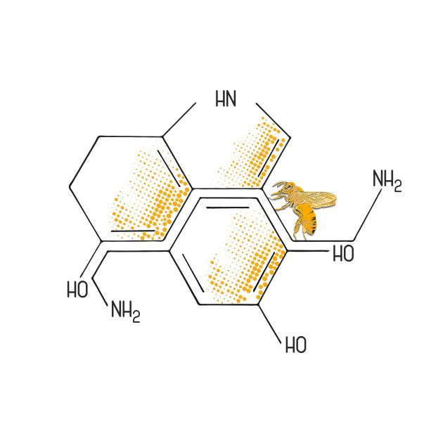 činjenice o pčelama i nauka