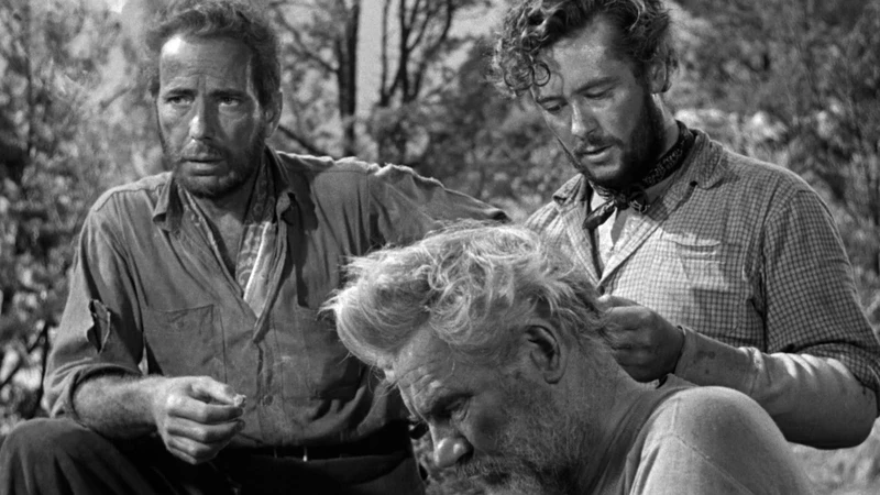 The Treasure of the Sierra Madre (1948) vestern filmovi