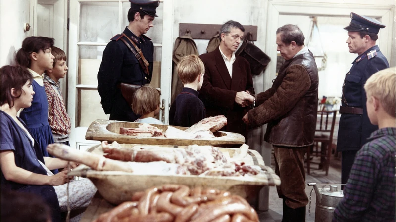 the witness 1969 najbolji mađarski filmovi
