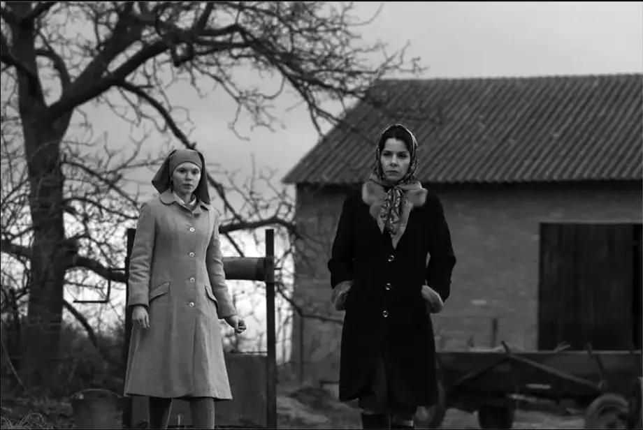 12-ida-2013 najbolji poljski filmovi